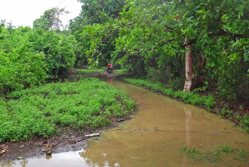 Trail to Pumpkin Hill Utila