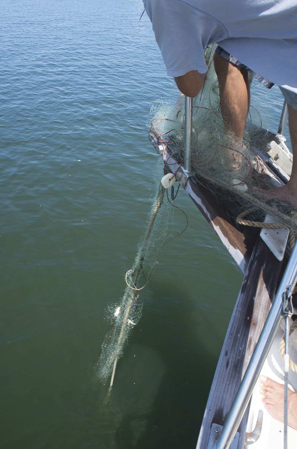 anchor caught on fishing net