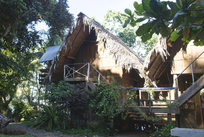 bungalow at Tortugal