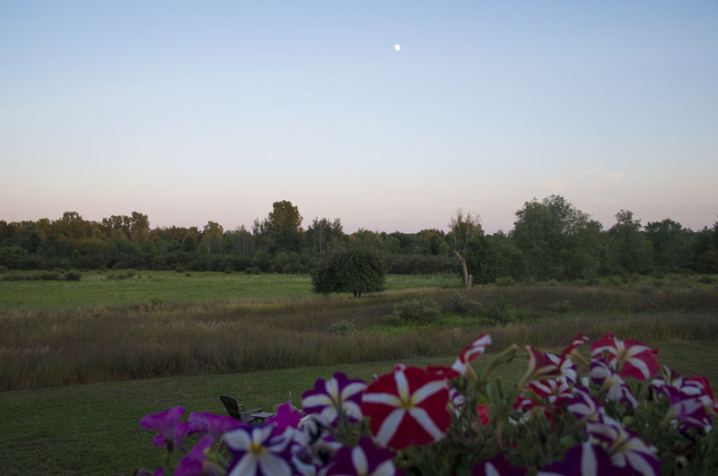 sunset over a field