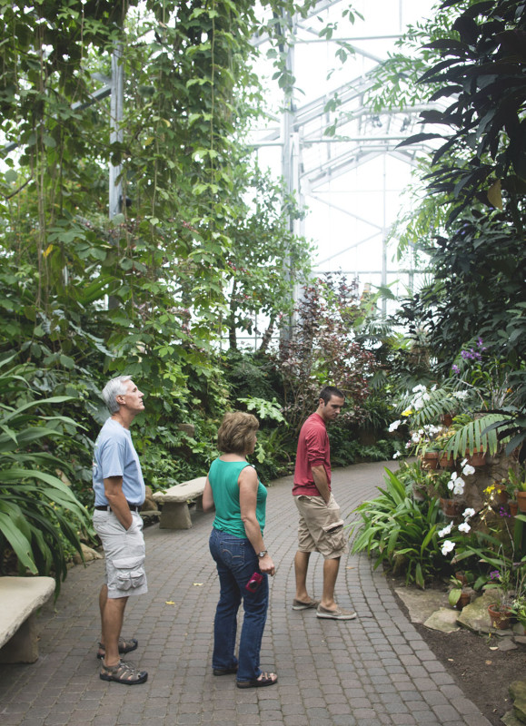 FMG Tropical Conservatory 3