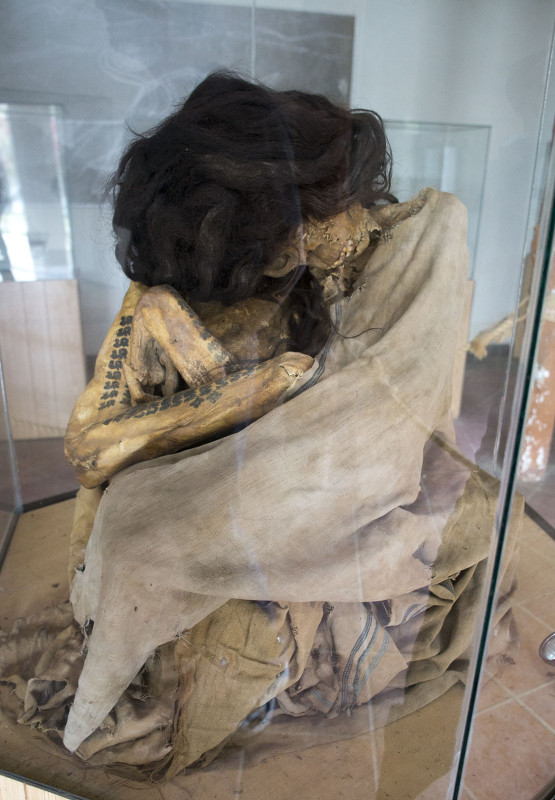 Pre-Incan Mummy