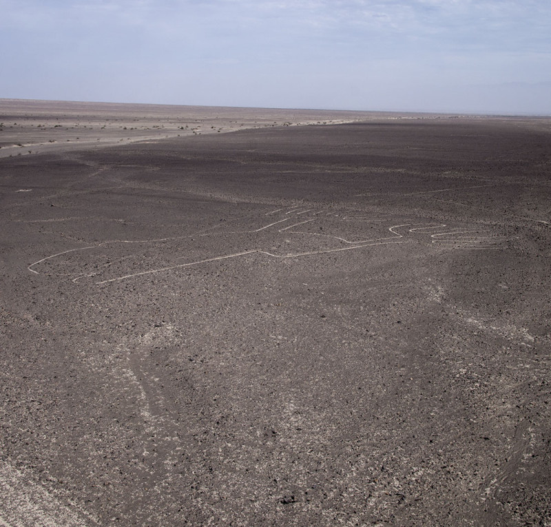 Nazca Lines - frog