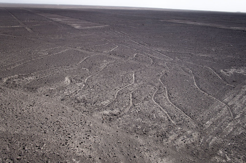 Nazca Lines - tree