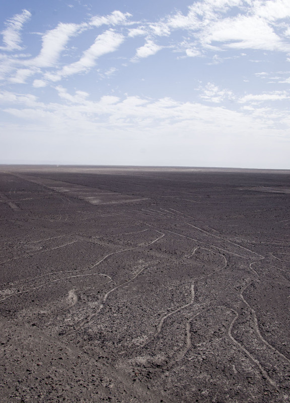 Nazca Lines - tree & lizard