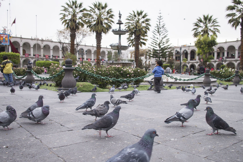 Plaza de Armas Arequipa Peru