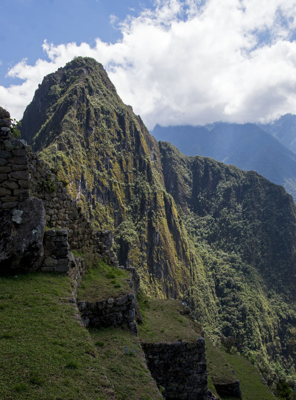 grass steps of Machu Picchu