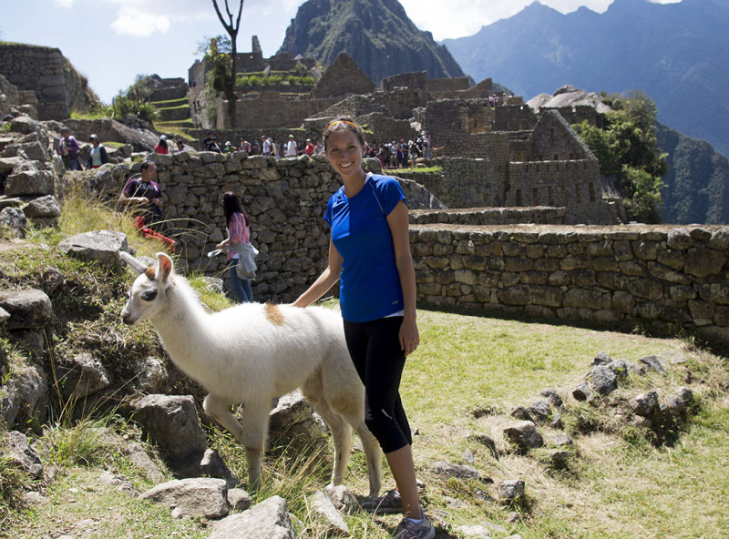 Jessica petting llama