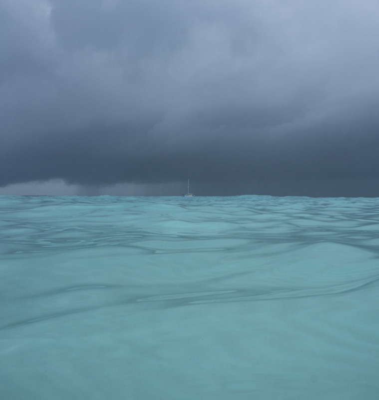 horizon Stingray City Grand Cayman