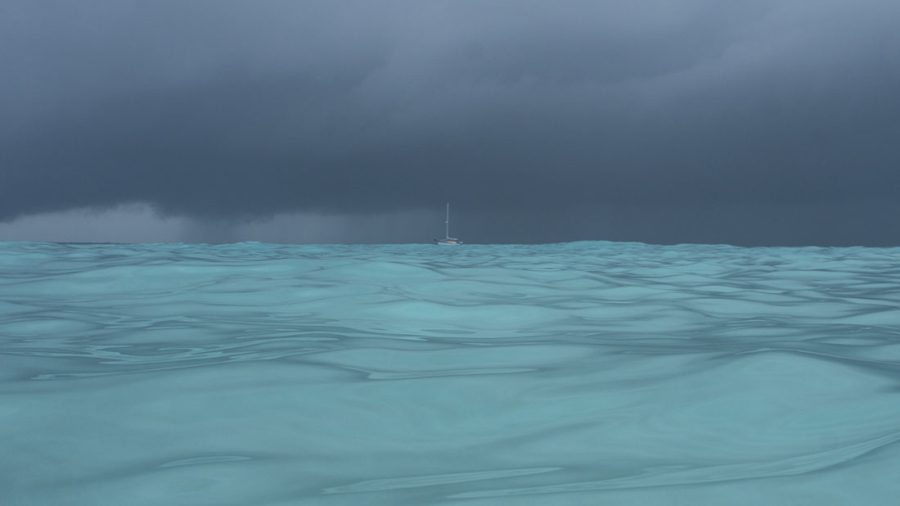 horizon Stingray City Grand Cayman