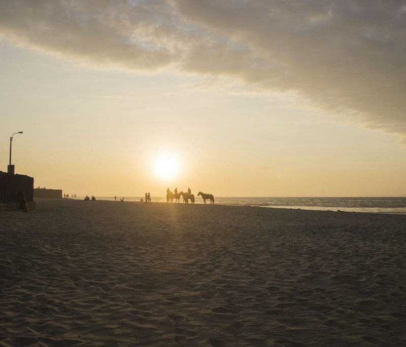 horses on beach, Mancora Peru