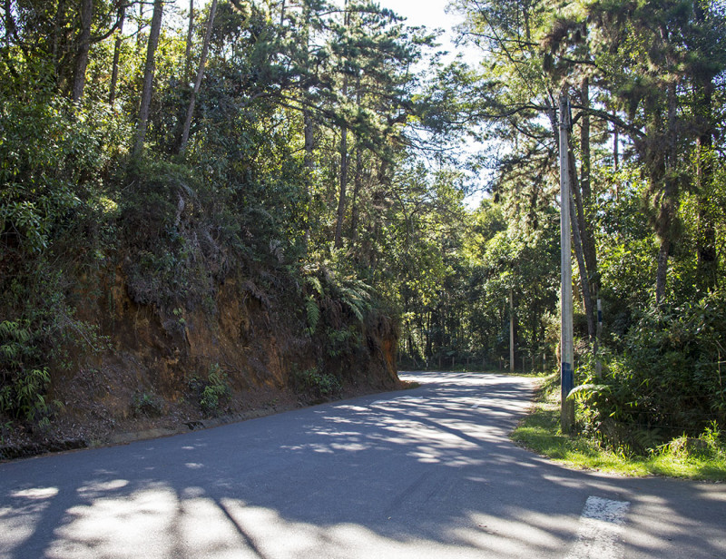 road through Arvi Park