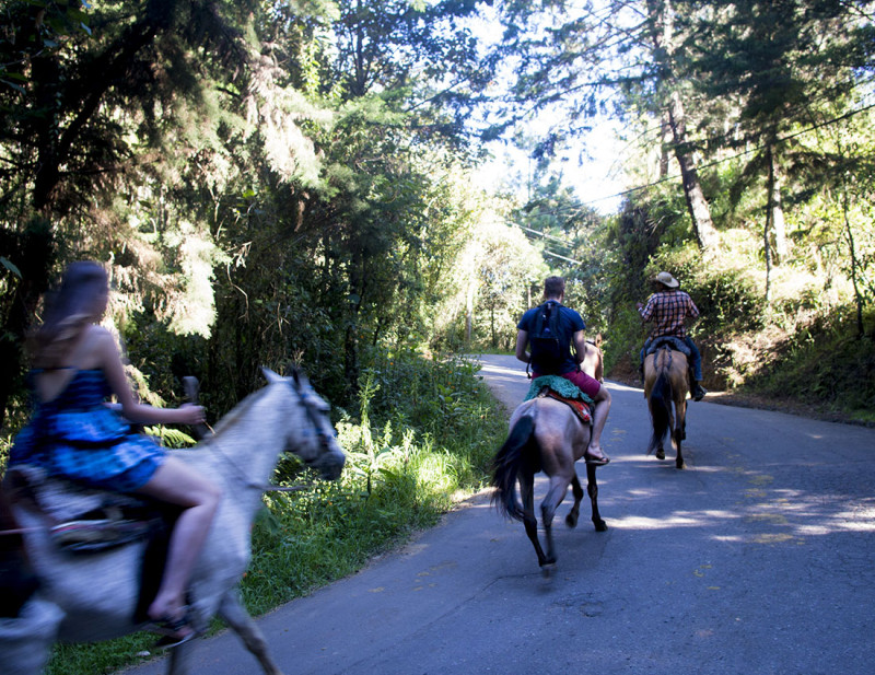 horses through Arvi Park Medellin