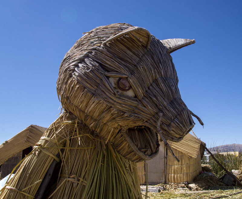 reed mountain cat Los Uros