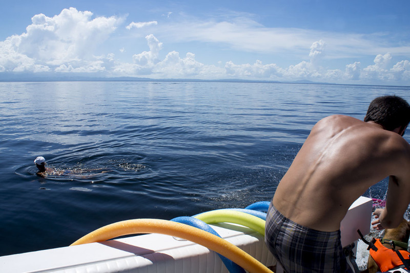 swimming in the bay