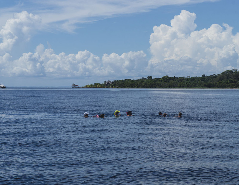 swimming in the bay