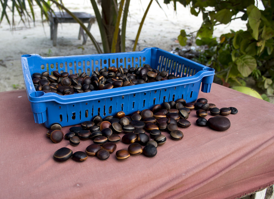 beans, Cay Caulker, Belize