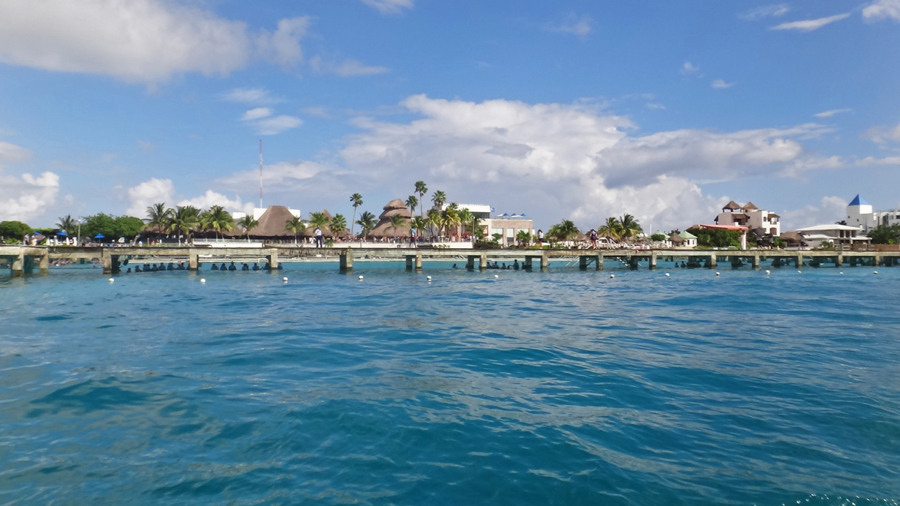 swim with dolphins Isla Mujeres