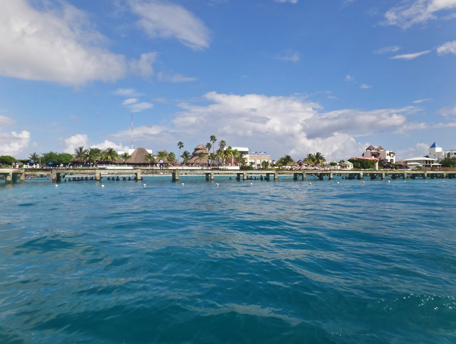 swim with dolphins Isla Mujeres