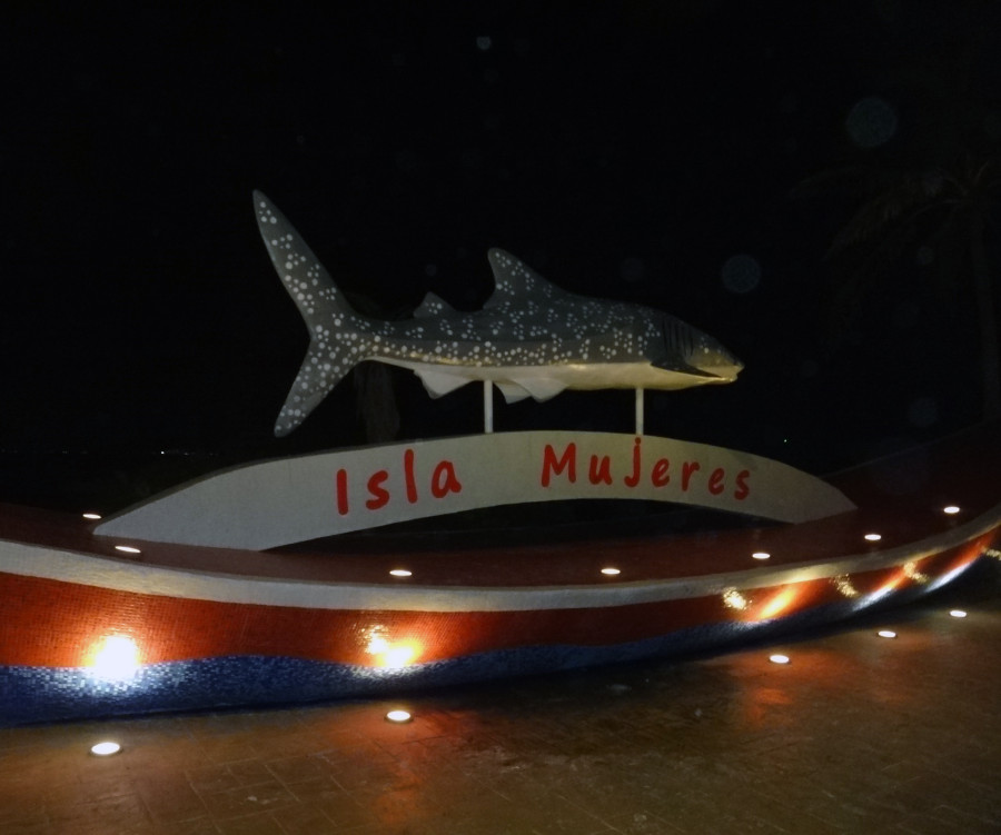 Isla Mujeres shark sculpture 