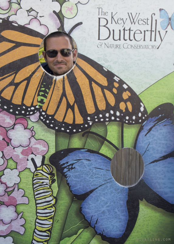 Matt in butterfly cut out