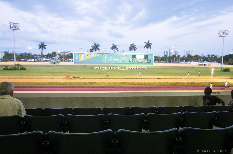 Mardi Gras race track