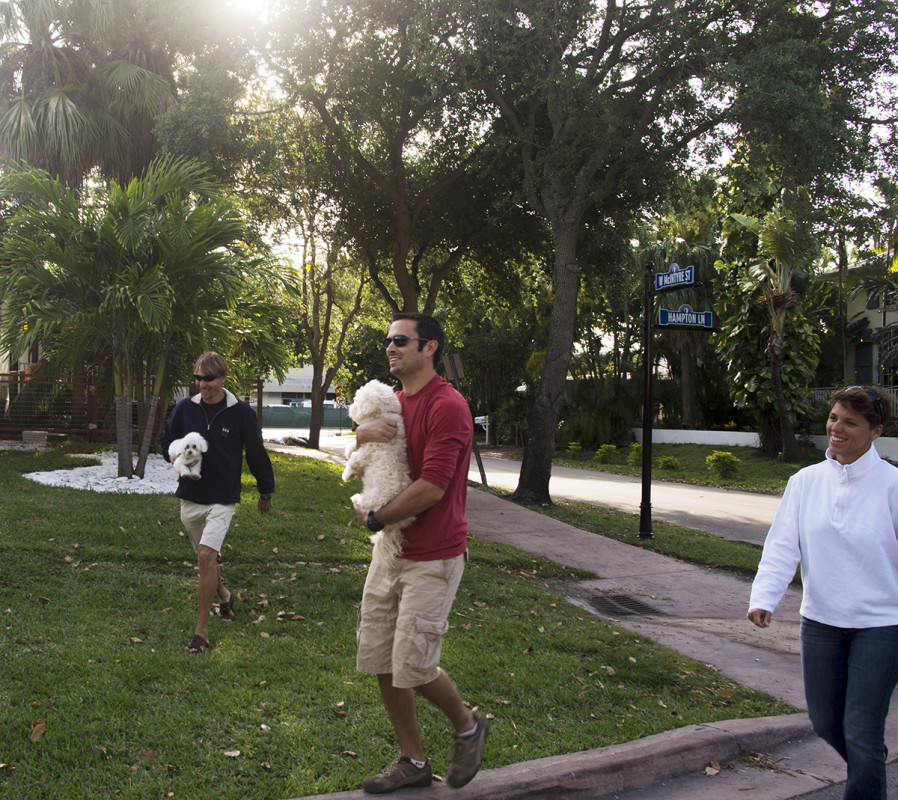 running of the dogs