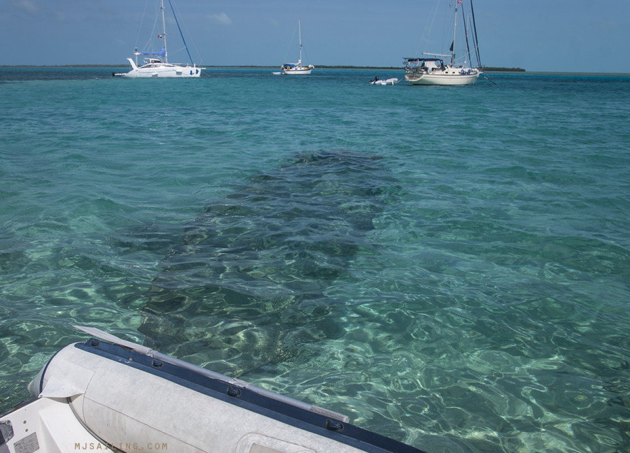 dinghy dock in Bimini