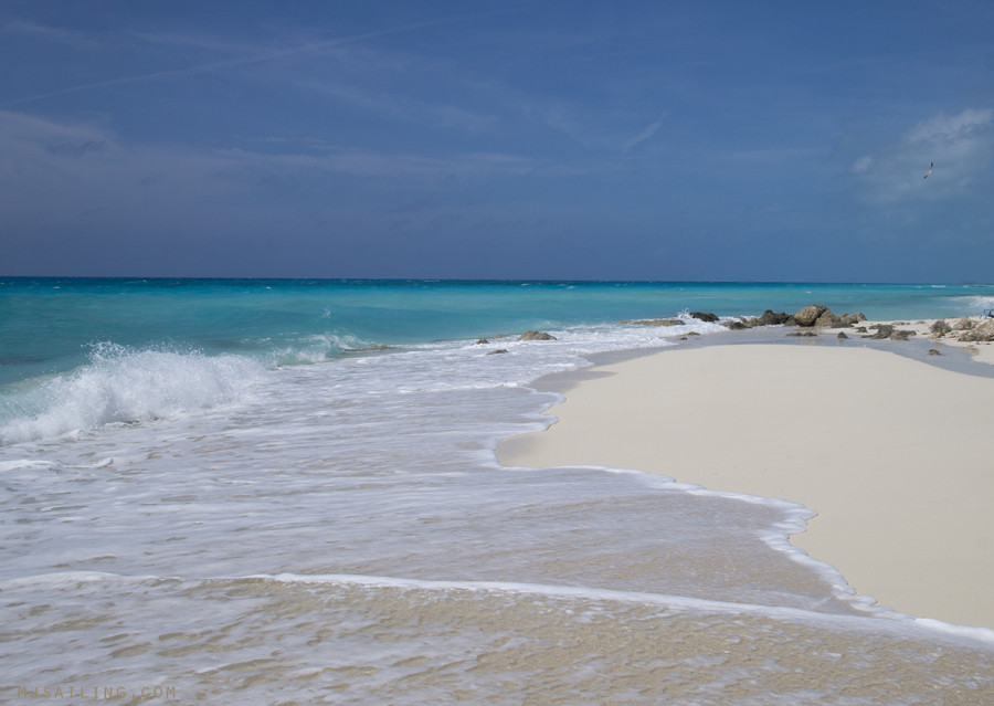 beach at Bimini