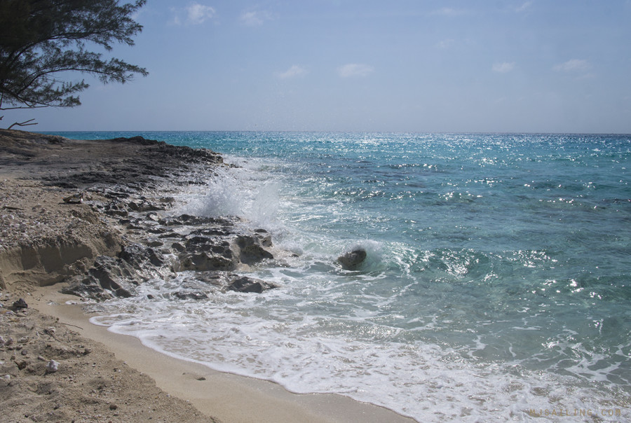 rocks on Bimini beach