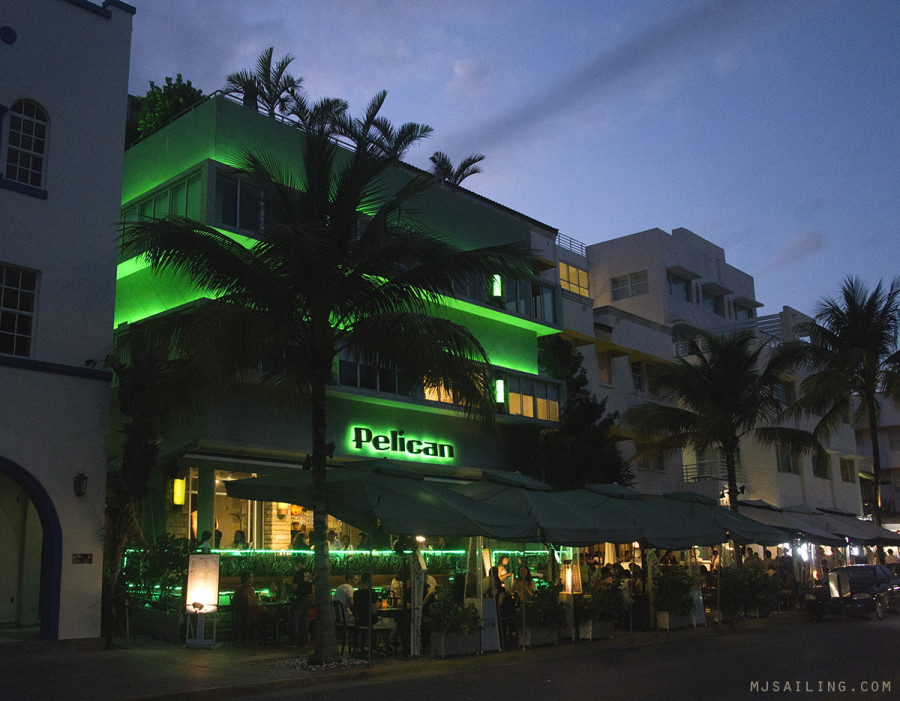 South Beach at night - Pelican