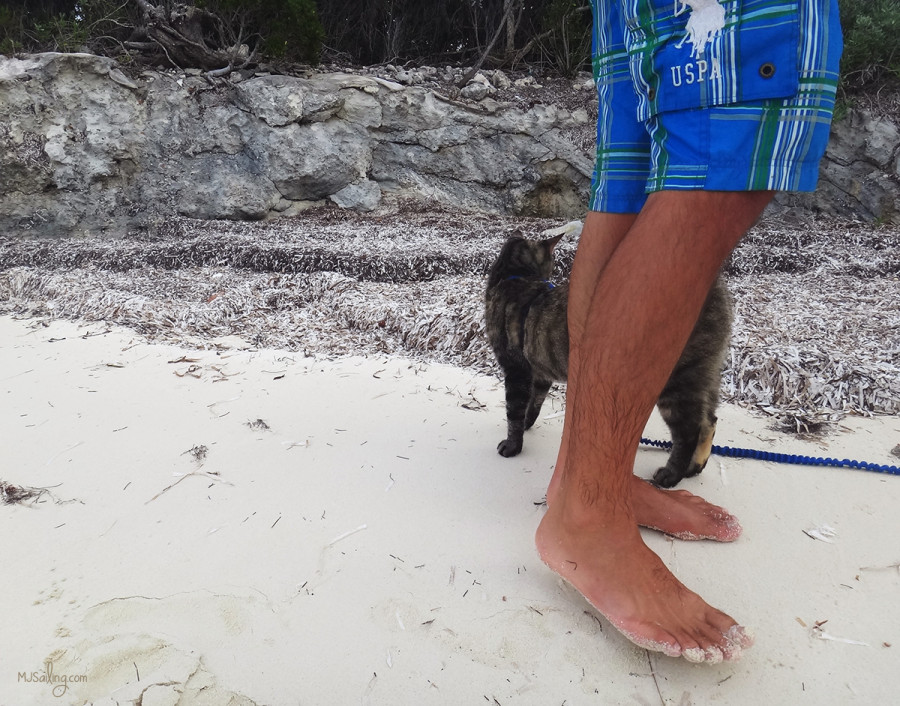 Georgie on beach