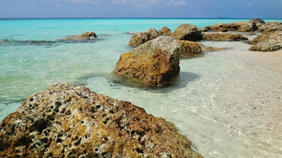 rocks on Radio Beach, North Bimini, Bahamas