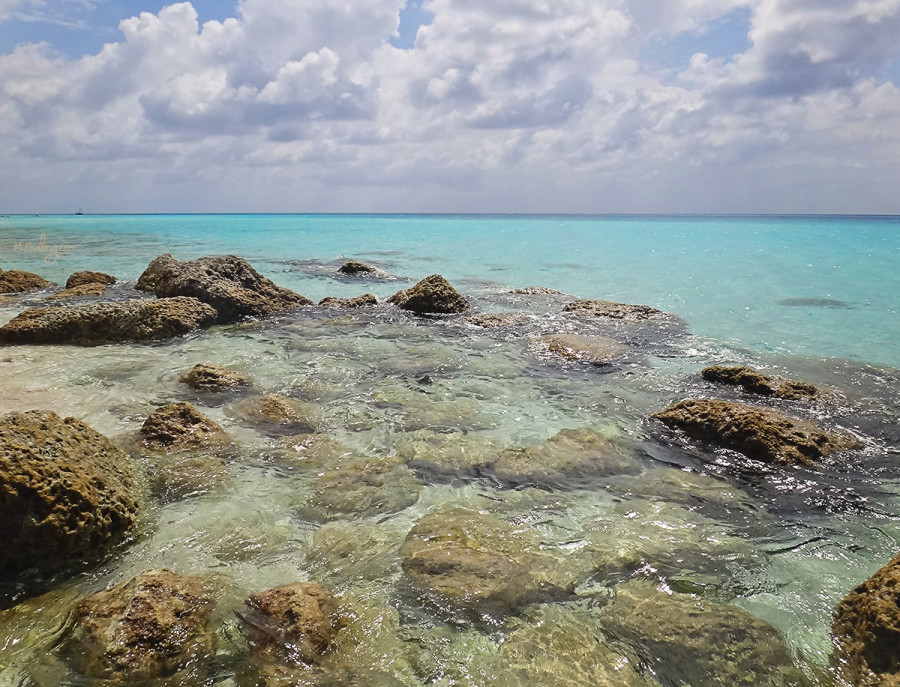 tide pool at Radio Beach