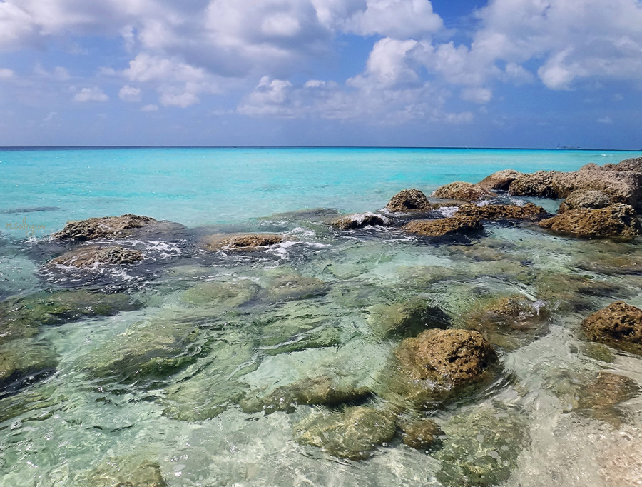 rocks on Radio Beach, North Bimini