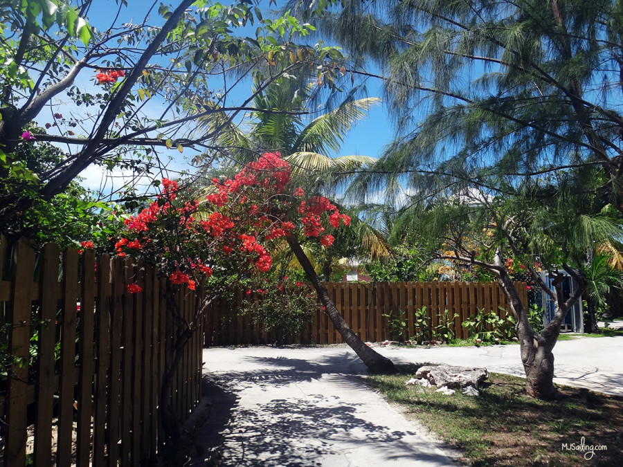 Staniel Cay Yacht Club