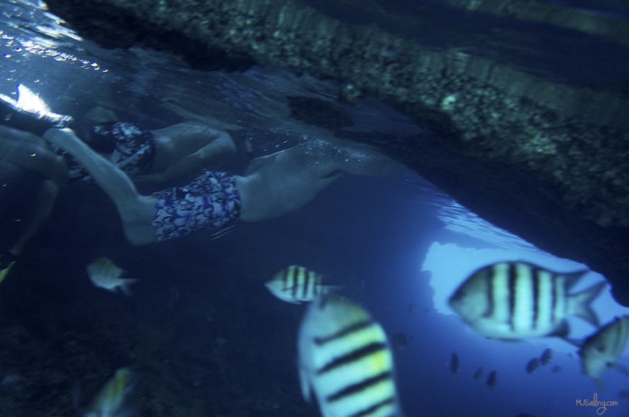 cave at Thunderball Grotto