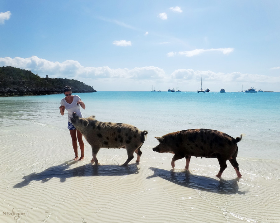 Jessica with pigs at Big Majors