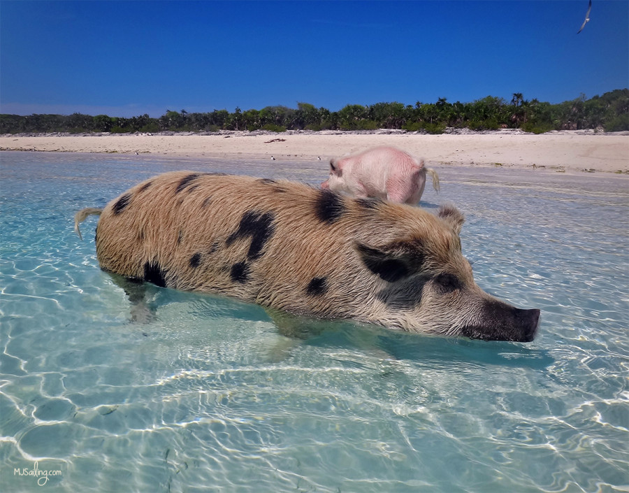 Staniel Cay, Bahamas