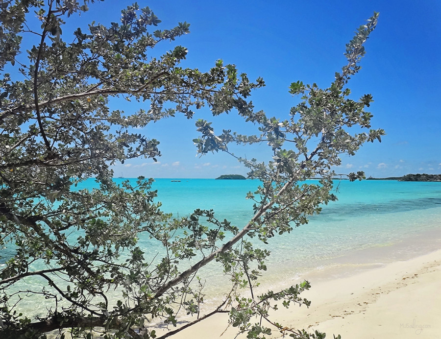 beach at Warderick Wells