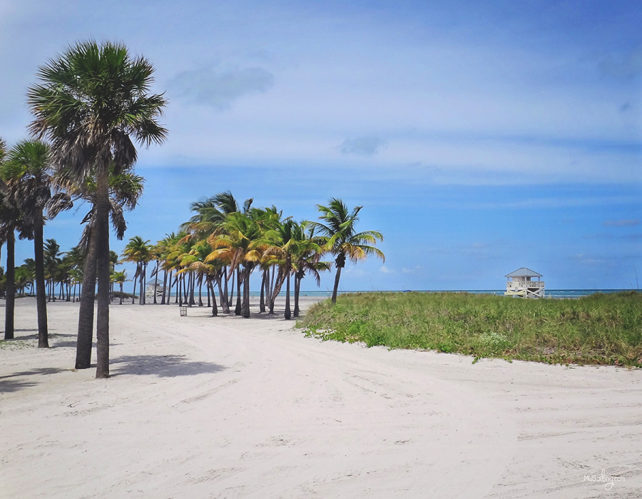 Crandon Park, Key Biscayne