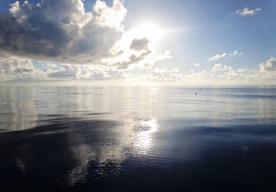 fishing buoy in the middle of the Atlantic