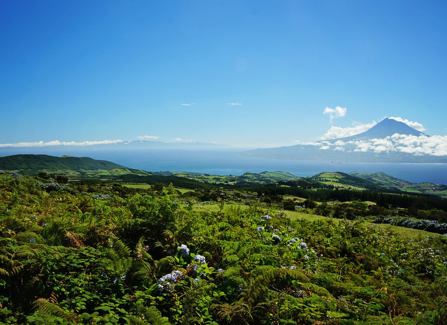 overlooking Pico, Azores