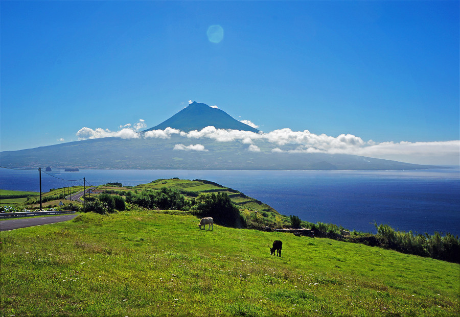 Grassy fields and Pico in the distance.  Azores