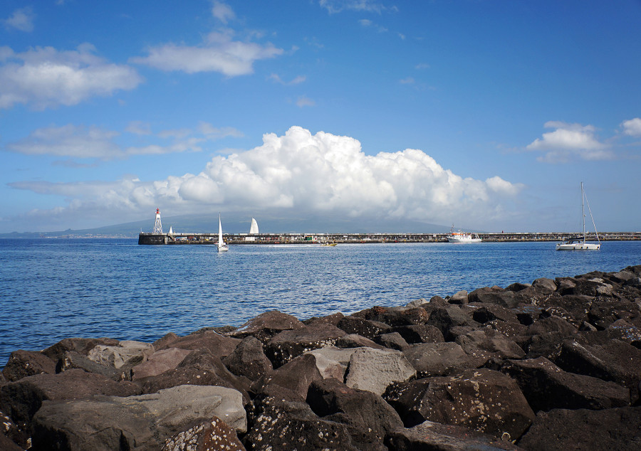 harbor of Horta, Faial, Azores