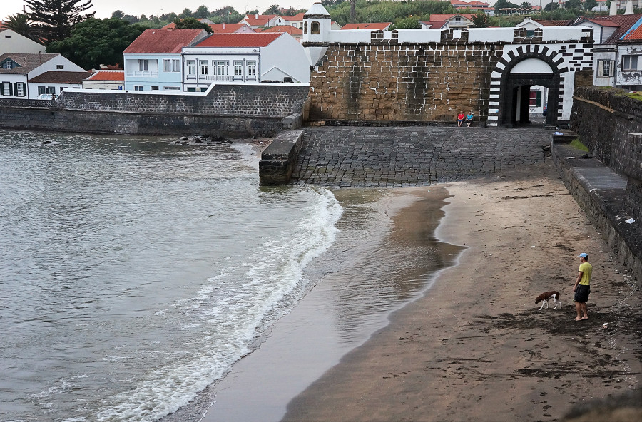 dog on beach, Porto Pim, Horta