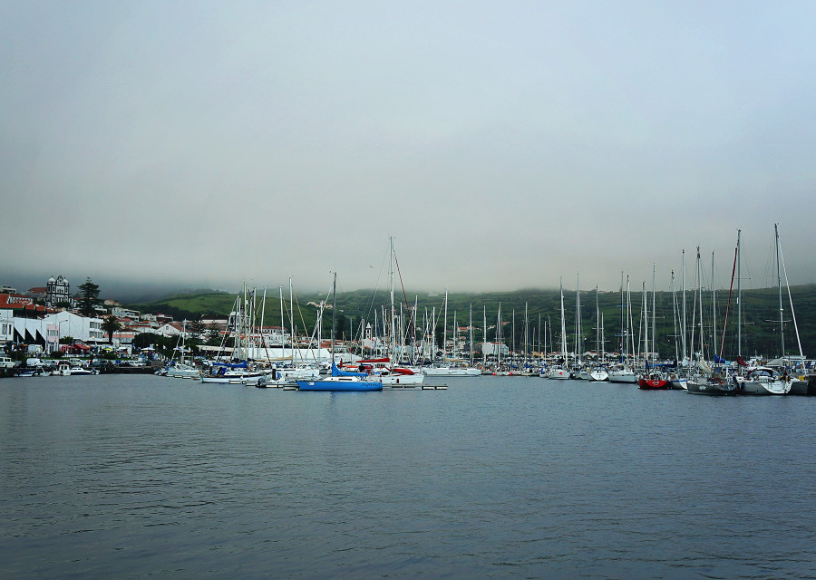 Horta Harbor, Azores