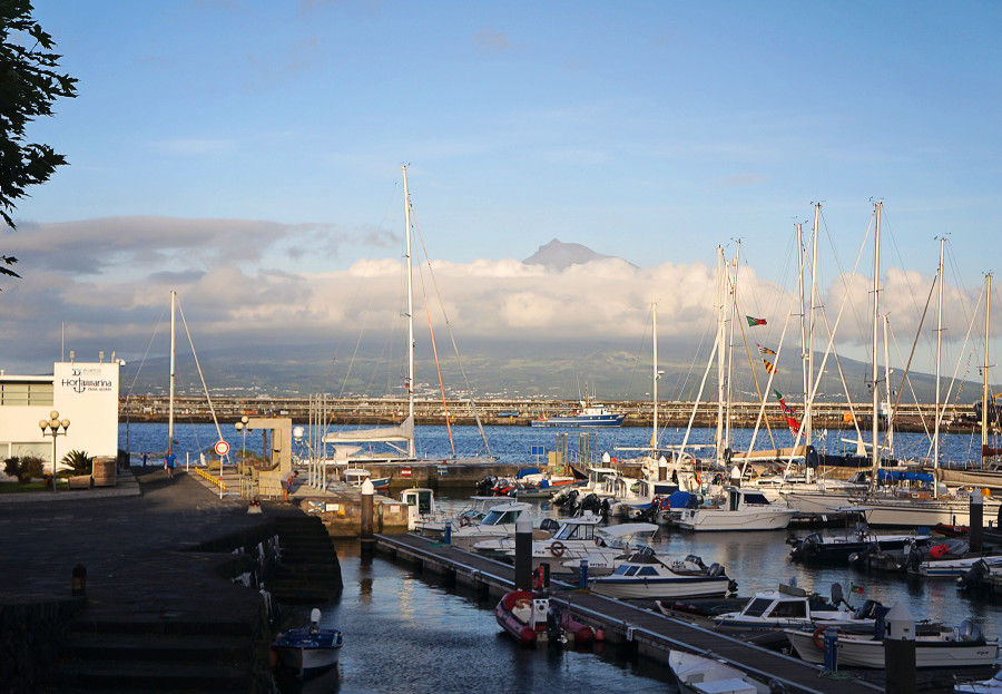 Horta marina, Azores