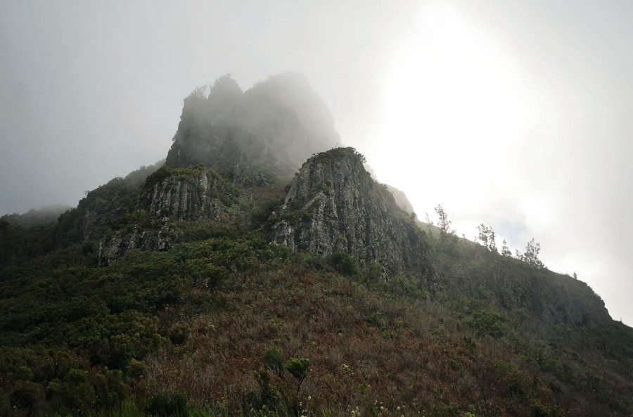 hiking Pico Ruivo, Madeira