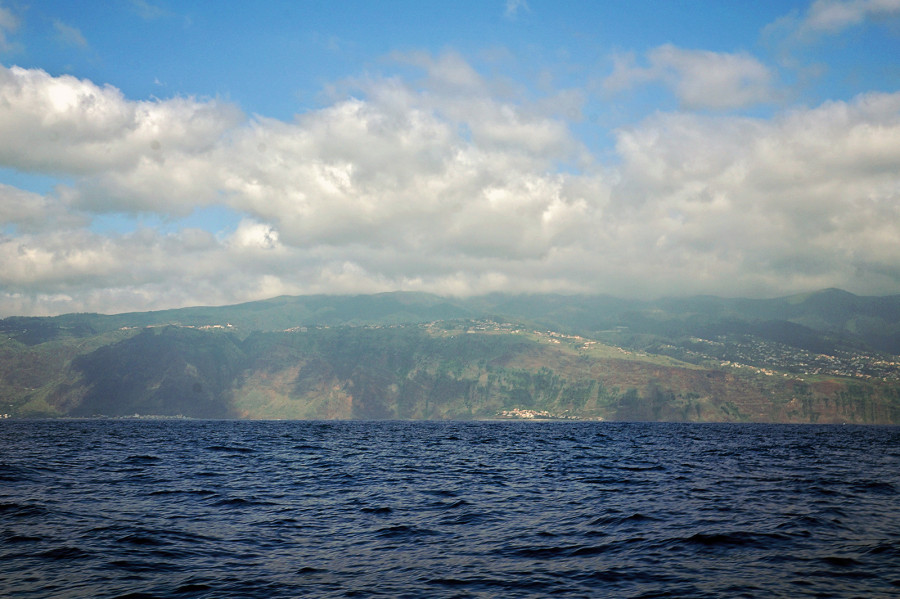 cliffs of Madeira